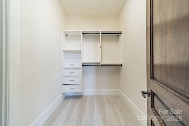 walk in closet with light carpet