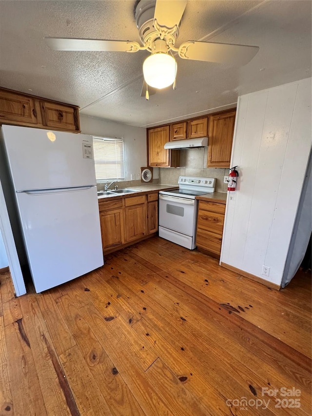 kitchen featuring ceiling fan, sink, light hardwood / wood-style floors, and white appliances