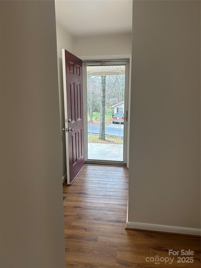 doorway featuring wood-type flooring