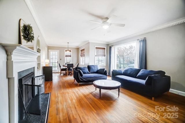 living room featuring crown molding, hardwood / wood-style floors, and ceiling fan