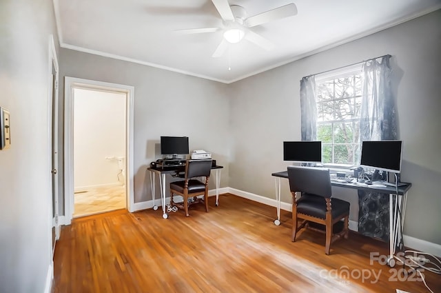 office space featuring wood-type flooring, ceiling fan, and ornamental molding