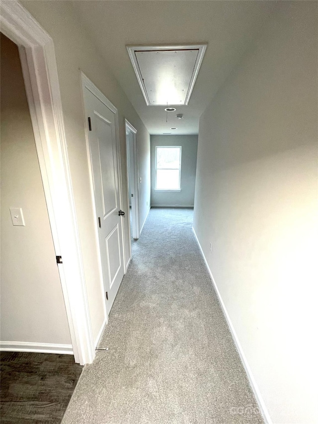 corridor featuring carpet, attic access, and baseboards