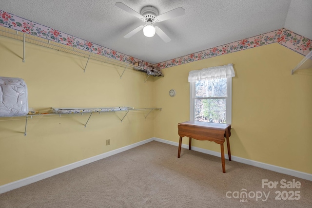 walk in closet with carpet floors and ceiling fan