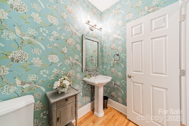 bathroom with toilet and wood-type flooring