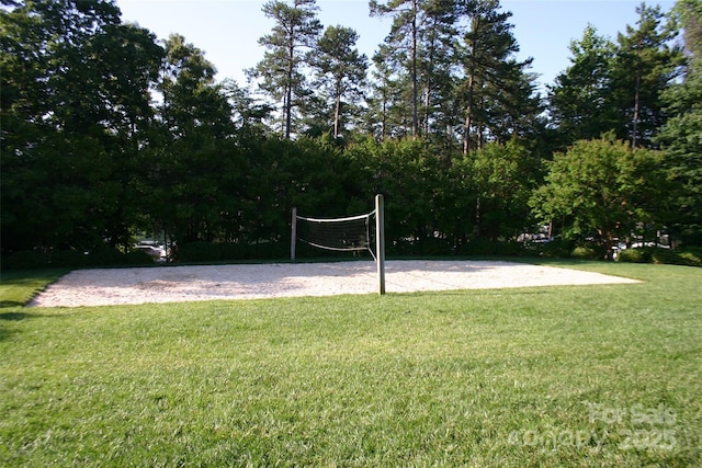 4150 Summit Ridge Ln, Denver, NC 28037 - surrounding community with volleyball court and a lawn