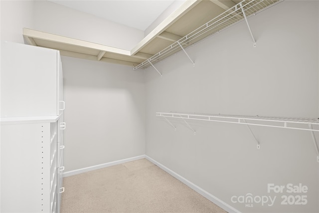 spacious closet with light carpet