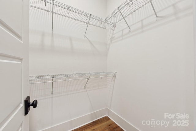 walk in closet featuring hardwood / wood-style flooring