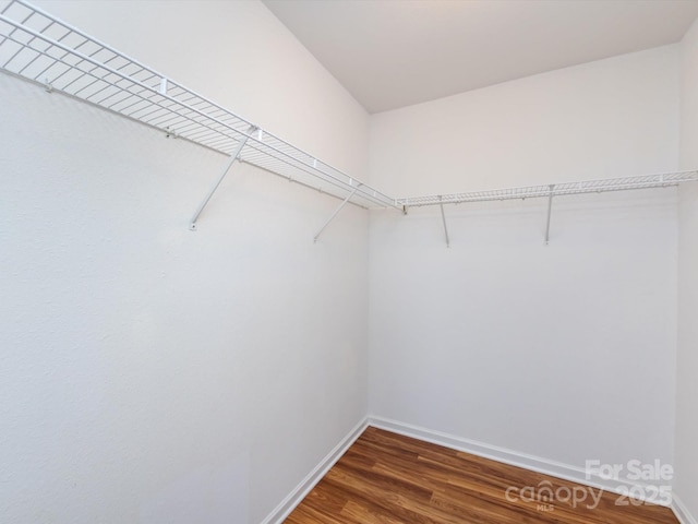 walk in closet featuring dark hardwood / wood-style floors