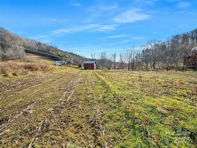 view of yard with a rural view