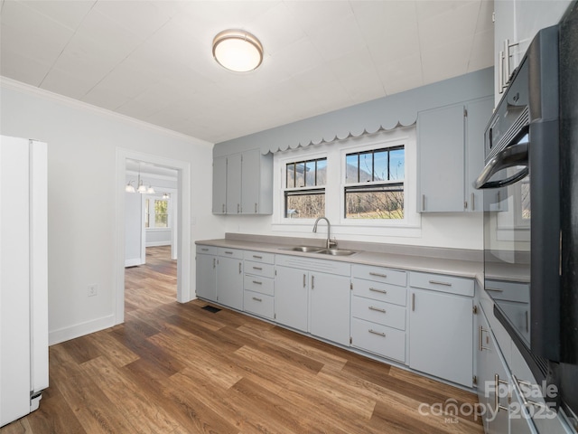 kitchen with white refrigerator, plenty of natural light, sink, and hardwood / wood-style floors