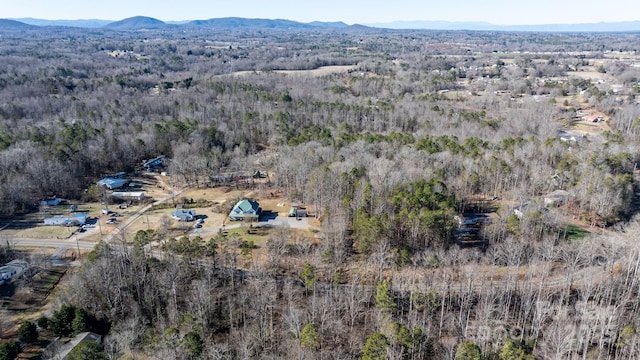 drone / aerial view featuring a mountain view