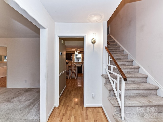 stairs featuring ceiling fan and hardwood / wood-style floors