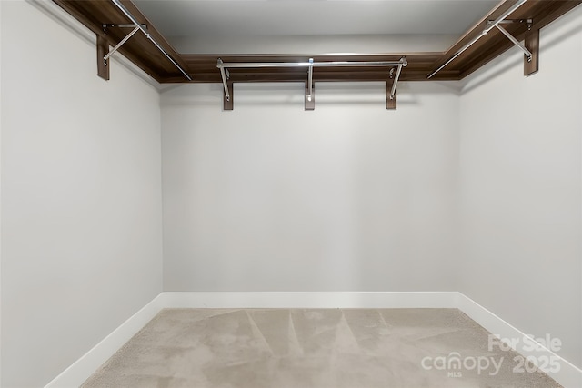 2401 Euclid Ave Unit 103, Charlotte, NC 28203 - photo 15