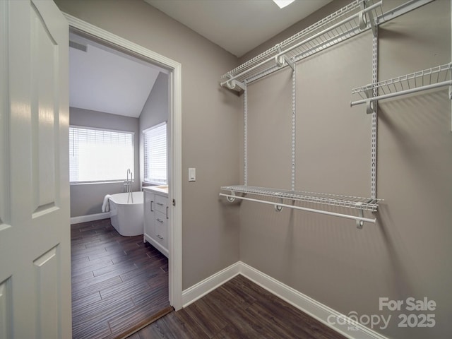 walk in closet featuring hardwood / wood-style floors and vaulted ceiling