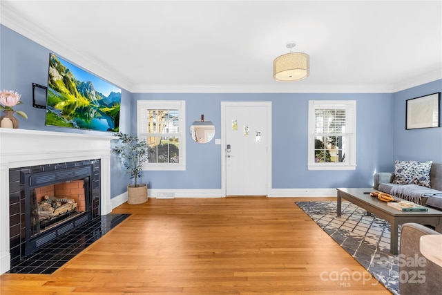 living room featuring ornamental molding, a fireplace, and hardwood / wood-style floors