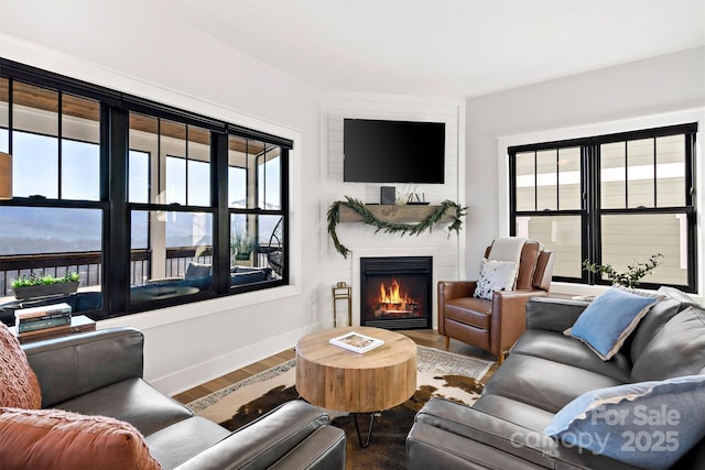 living room featuring a large fireplace, hardwood / wood-style flooring, and plenty of natural light