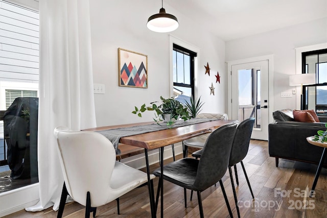 dining room featuring hardwood / wood-style flooring