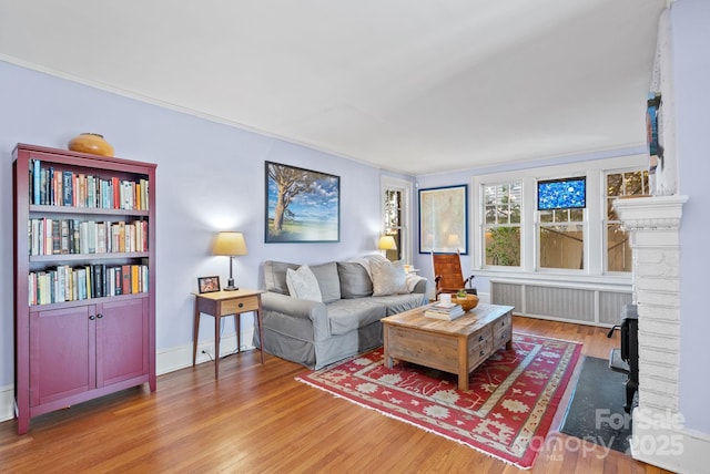 living room with radiator heating unit and hardwood / wood-style floors