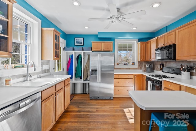 kitchen with sink, stainless steel appliances, tasteful backsplash, hardwood / wood-style floors, and plenty of natural light