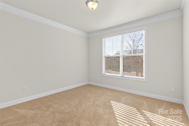 empty room featuring crown molding and light carpet