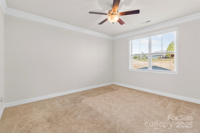 empty room featuring ceiling fan, carpet, and ornamental molding