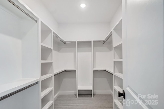 walk in closet featuring light carpet