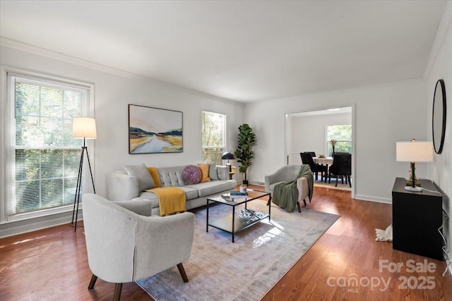 living room featuring ornamental molding and wood-type flooring