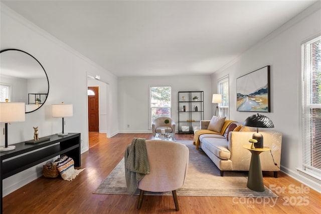 living room with wood-type flooring and crown molding