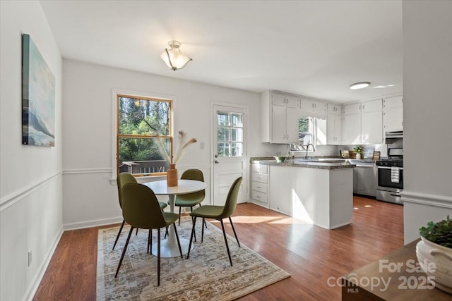 dining room featuring wood-type flooring and sink