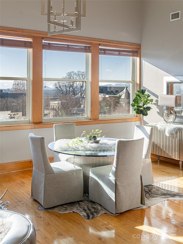 dining room featuring radiator, a wealth of natural light, and wood-type flooring