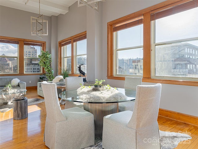 dining area featuring beam ceiling and light hardwood / wood-style floors