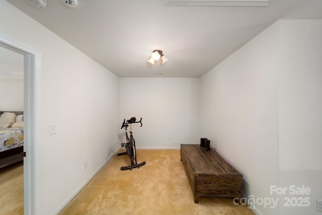 workout room featuring light carpet