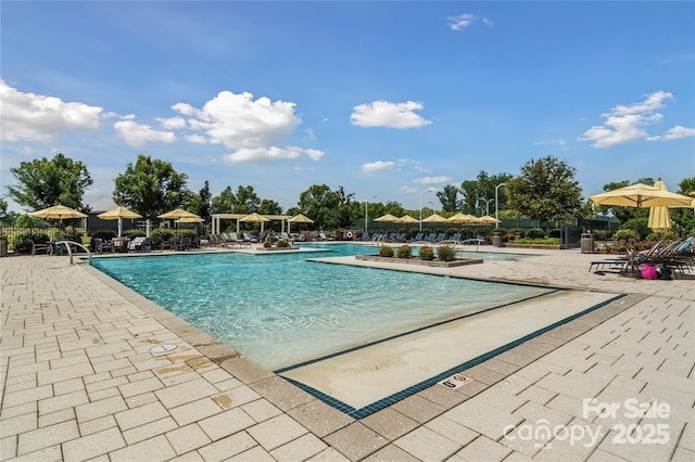 view of swimming pool featuring a patio