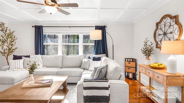 living room featuring ceiling fan and wood-type flooring