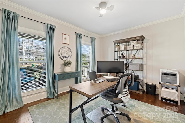 home office with crown molding and dark hardwood / wood-style flooring