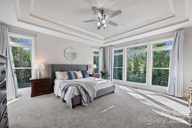 carpeted bedroom featuring a tray ceiling, multiple windows, ceiling fan, and ornamental molding