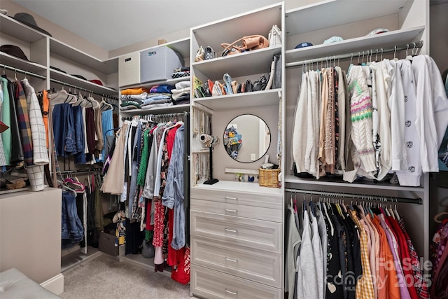 walk in closet featuring carpet floors