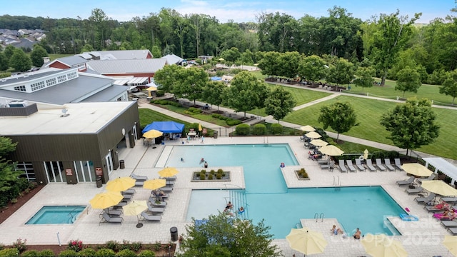 view of swimming pool