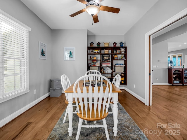 dining room with hardwood / wood-style floors and ceiling fan