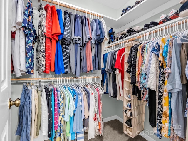 spacious closet featuring carpet floors