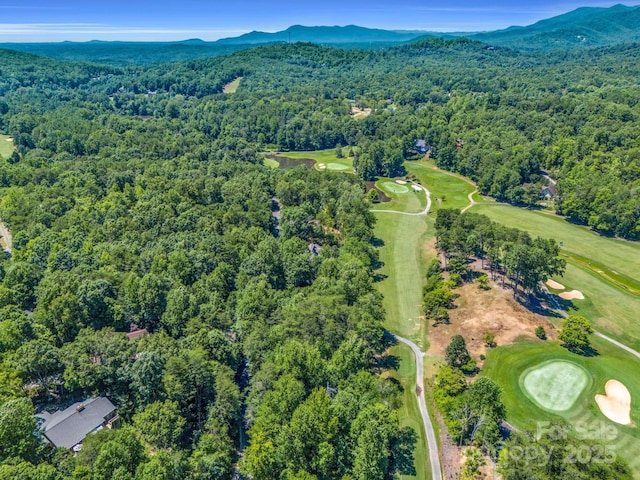 drone / aerial view featuring a mountain view