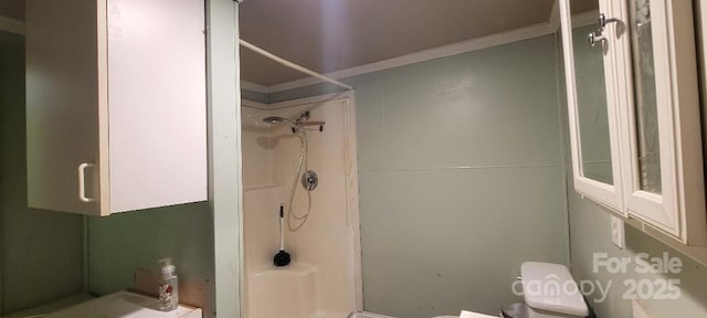 bathroom featuring a shower and toilet