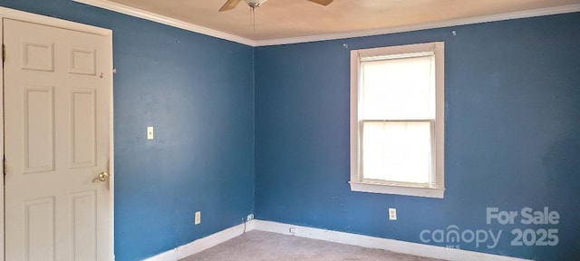 unfurnished room with carpet flooring, ceiling fan, a healthy amount of sunlight, and ornamental molding