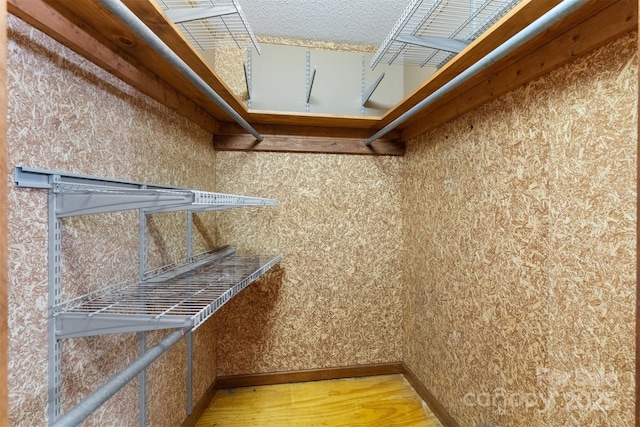 spacious closet with wood-type flooring