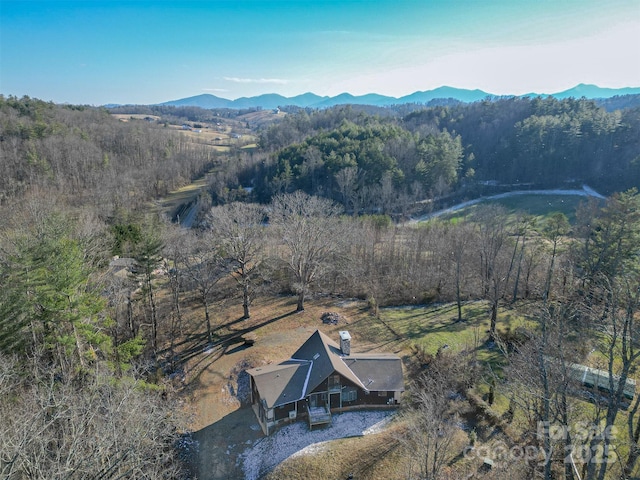 birds eye view of property featuring a mountain view