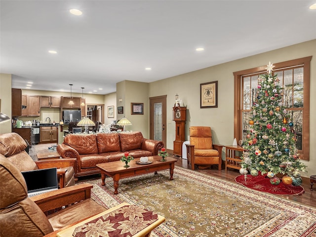 living room with hardwood / wood-style flooring and sink