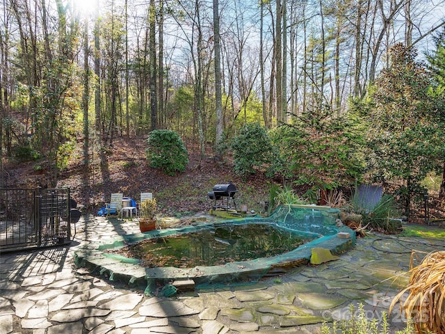 view of pool featuring area for grilling and a patio area