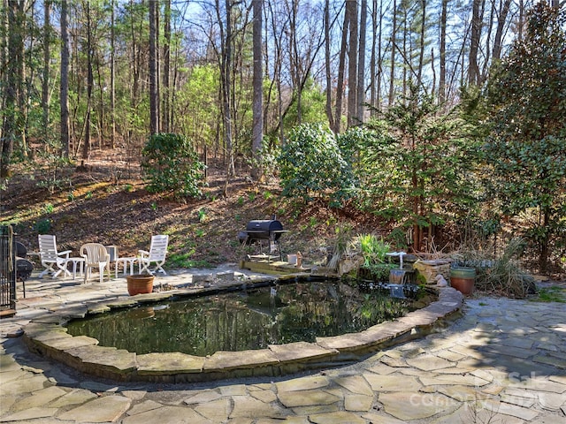view of yard with a patio