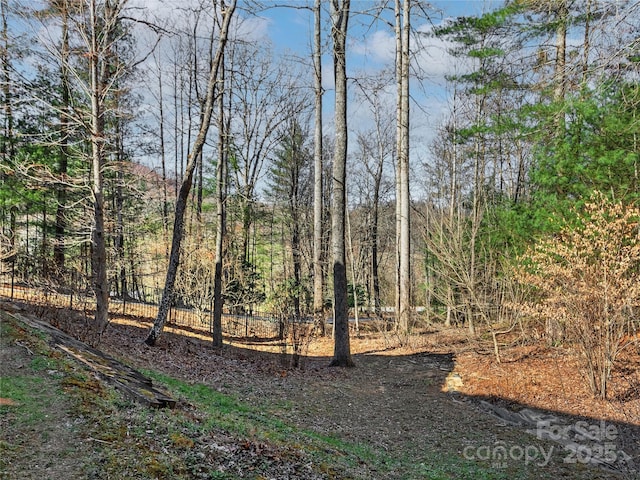 view of nature with a forest view