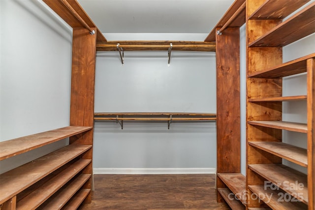 walk in closet with dark hardwood / wood-style flooring